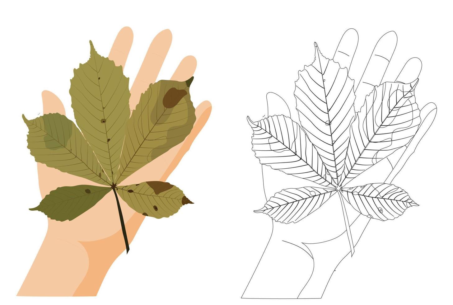 Yellow chestnut leaf on the palm. Children's coloring. Vector stock illustration isolated on white background.