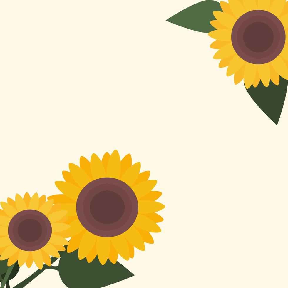 Illustrator vector of sunflower on yellow background with space to text