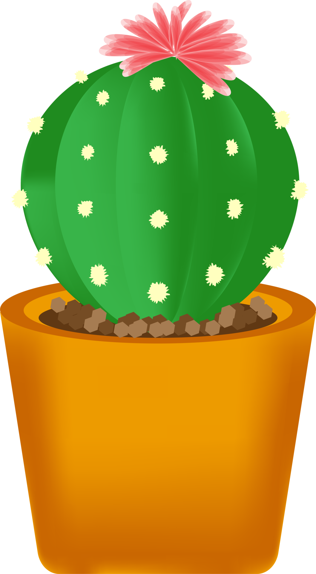 cactus and plant pots 9357097 PNG