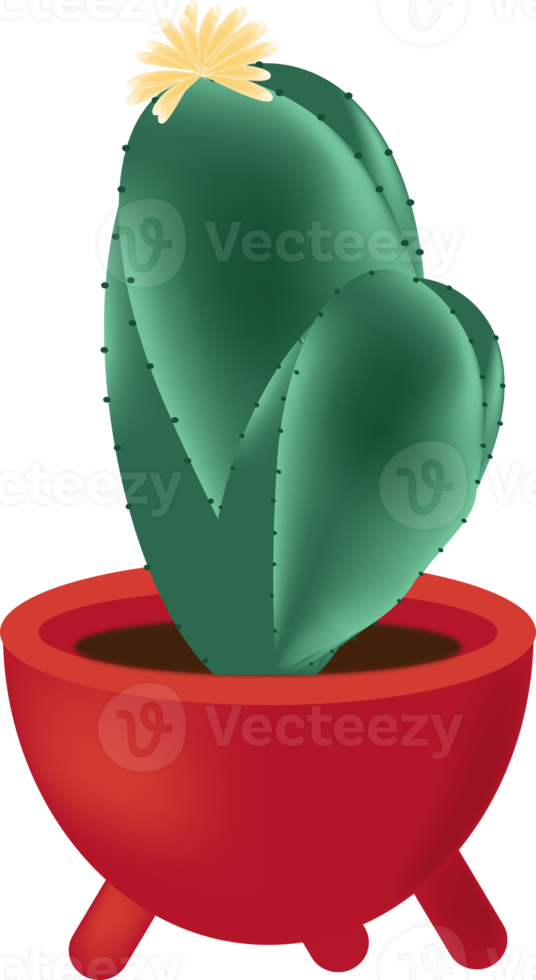 cactus and plant pots png