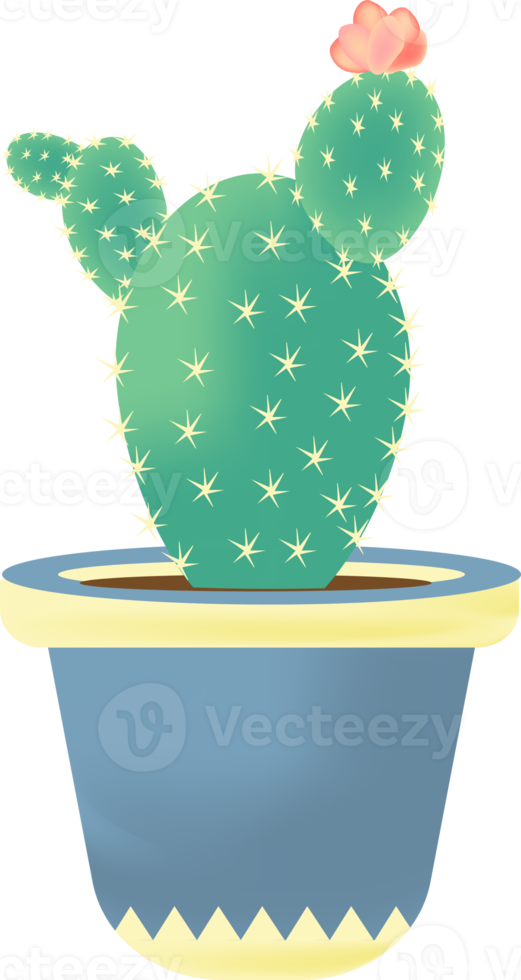 cactus and plant pots png