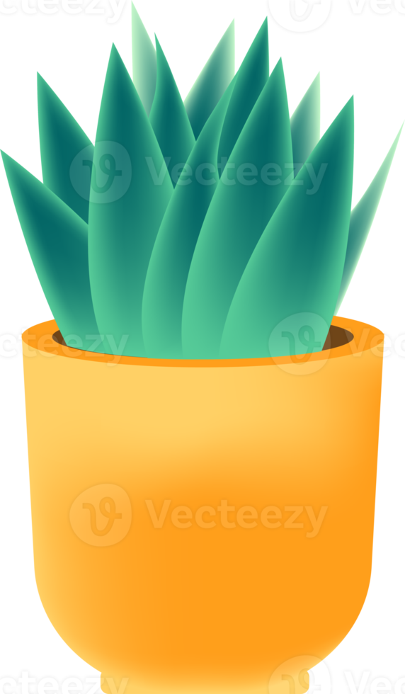 cactus et pots de plantes png