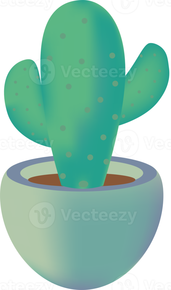 cactus and plant pots png