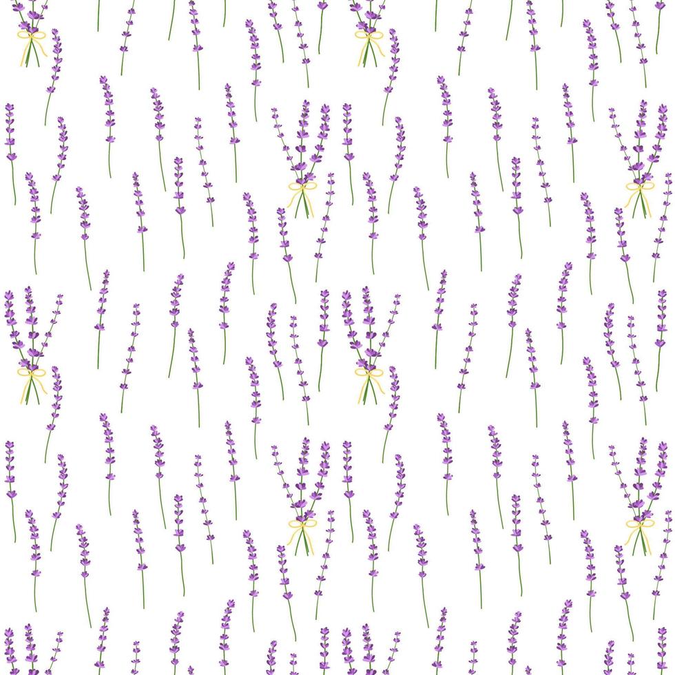 patrón de flores de lavanda de patrones sin fisuras sobre fondo blanco.patrón de vector floral