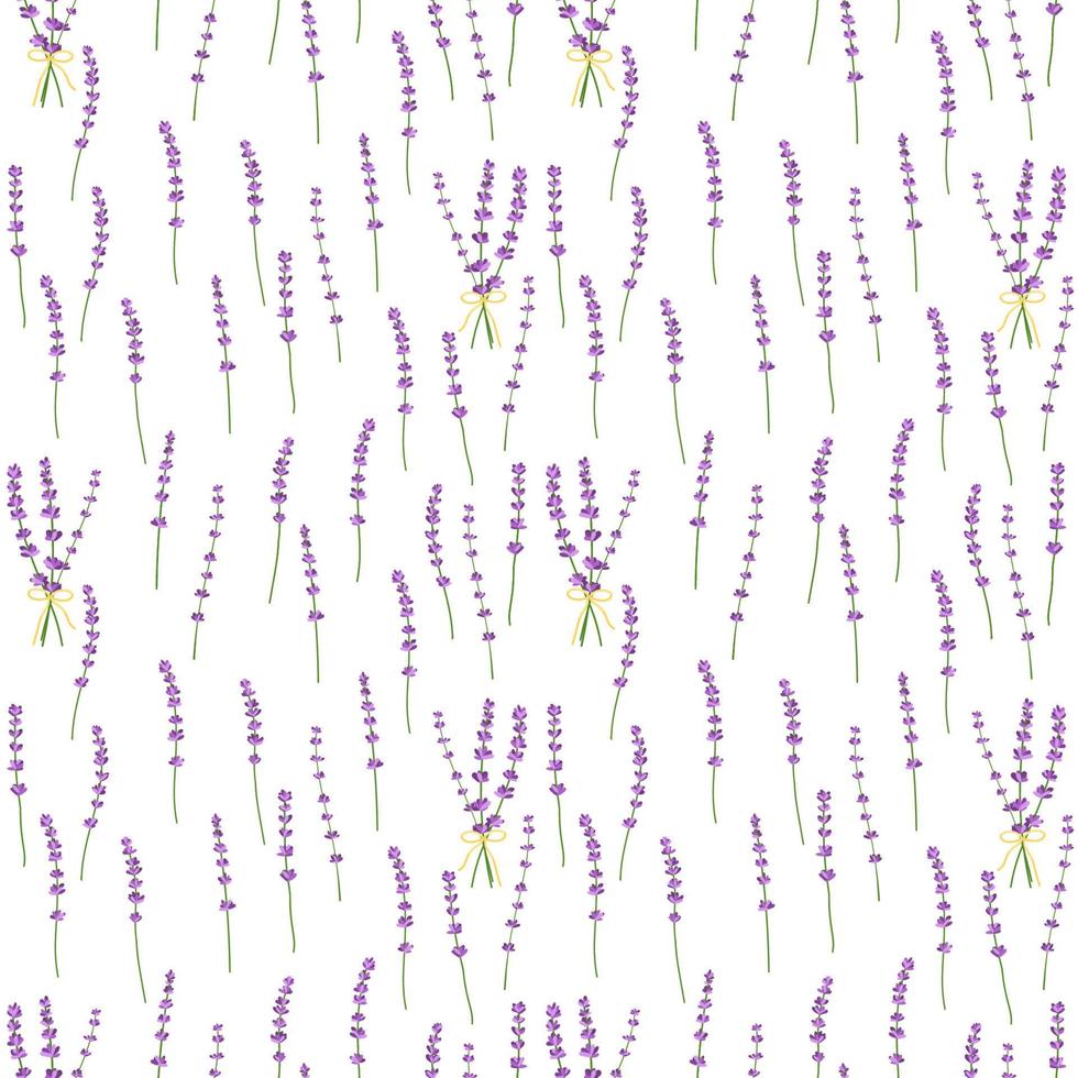 Seamless pattern lavender flowers pattern on white background.Floral vector pattern
