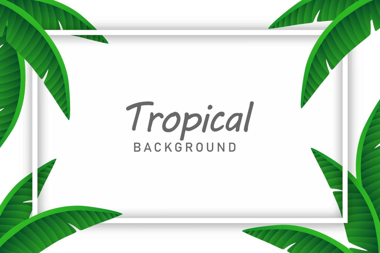 Set of tropical Leaves background illustration vector