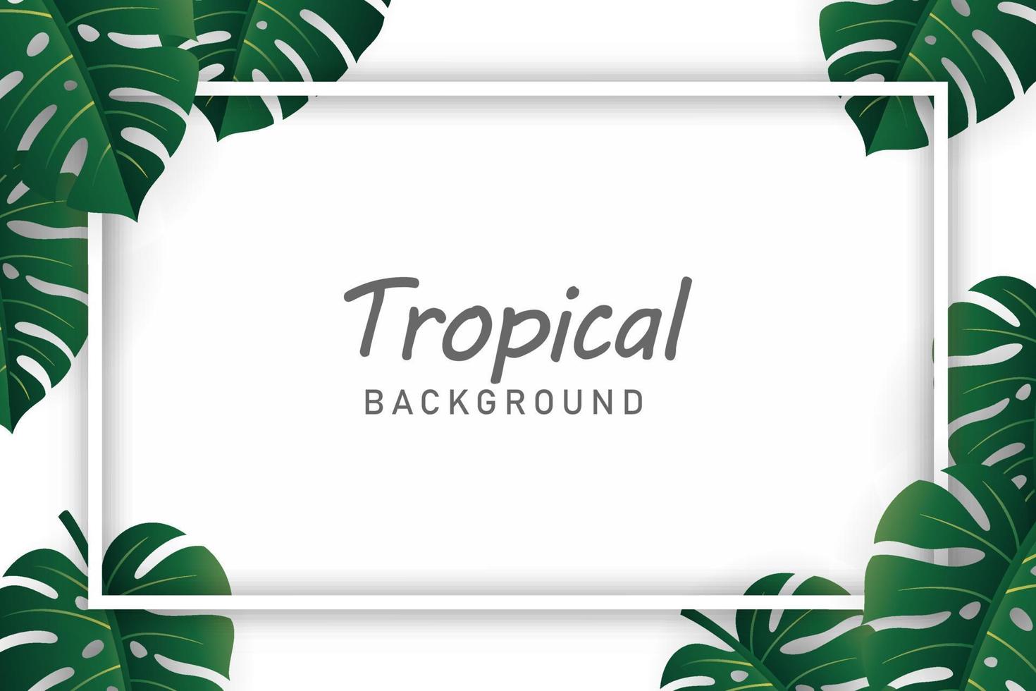 conjunto de vector de ilustración de fondo de hojas tropicales