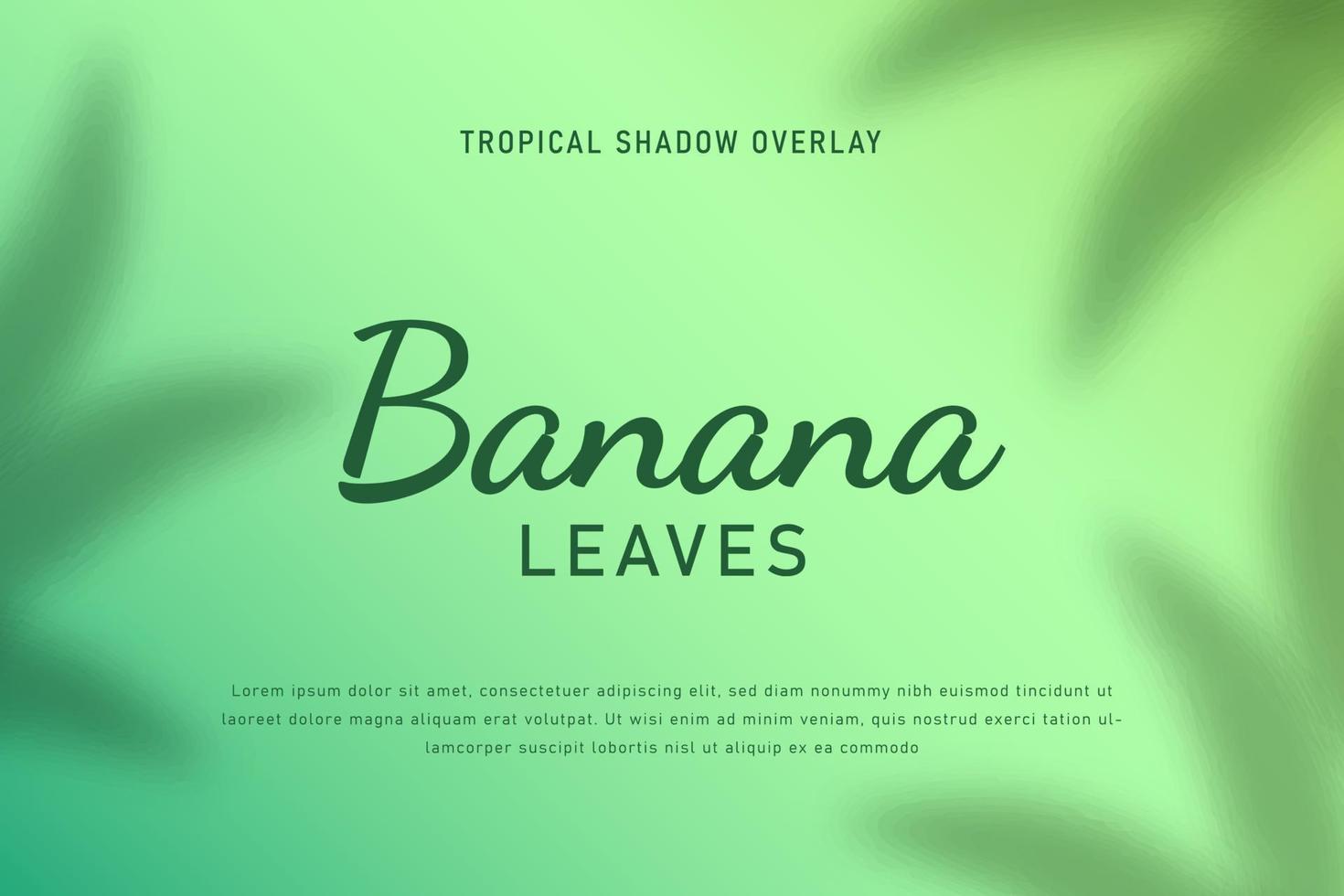 Set of tropical leaves shadow overlay background illustration vector