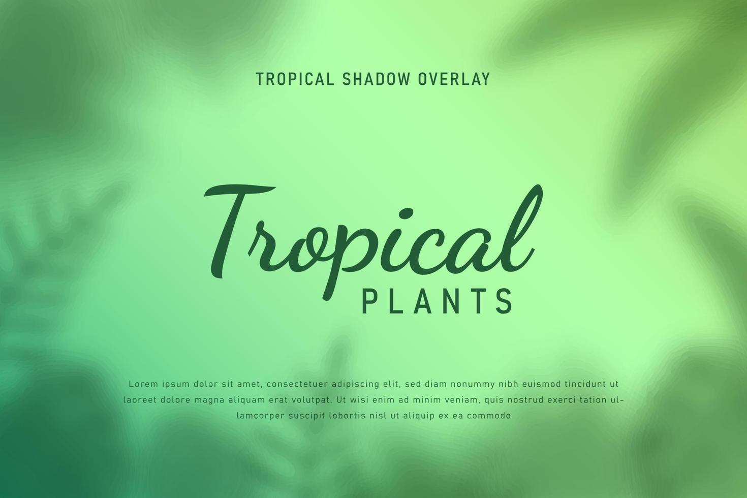 Set of tropical leaves shadow overlay background illustration vector