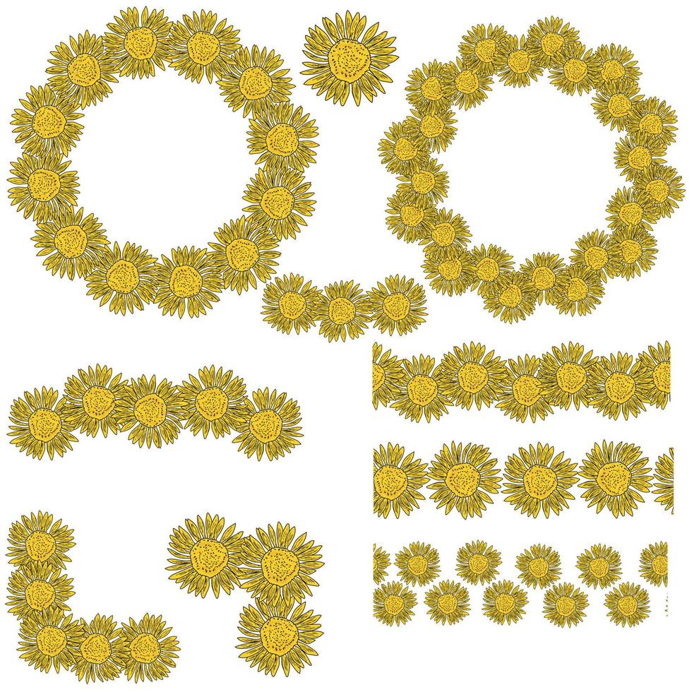 conjunto de coronas, marcos, bordes, divisores y esquinas de flores de girasol de jardín amarillo brillante vector
