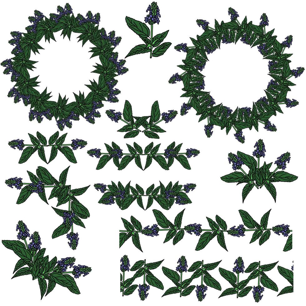 un conjunto de marcos, divisores, esquinas y bordes hechos de hierbas aromáticas con flores moradas, elementos decorativos de plantas para el diseño vector