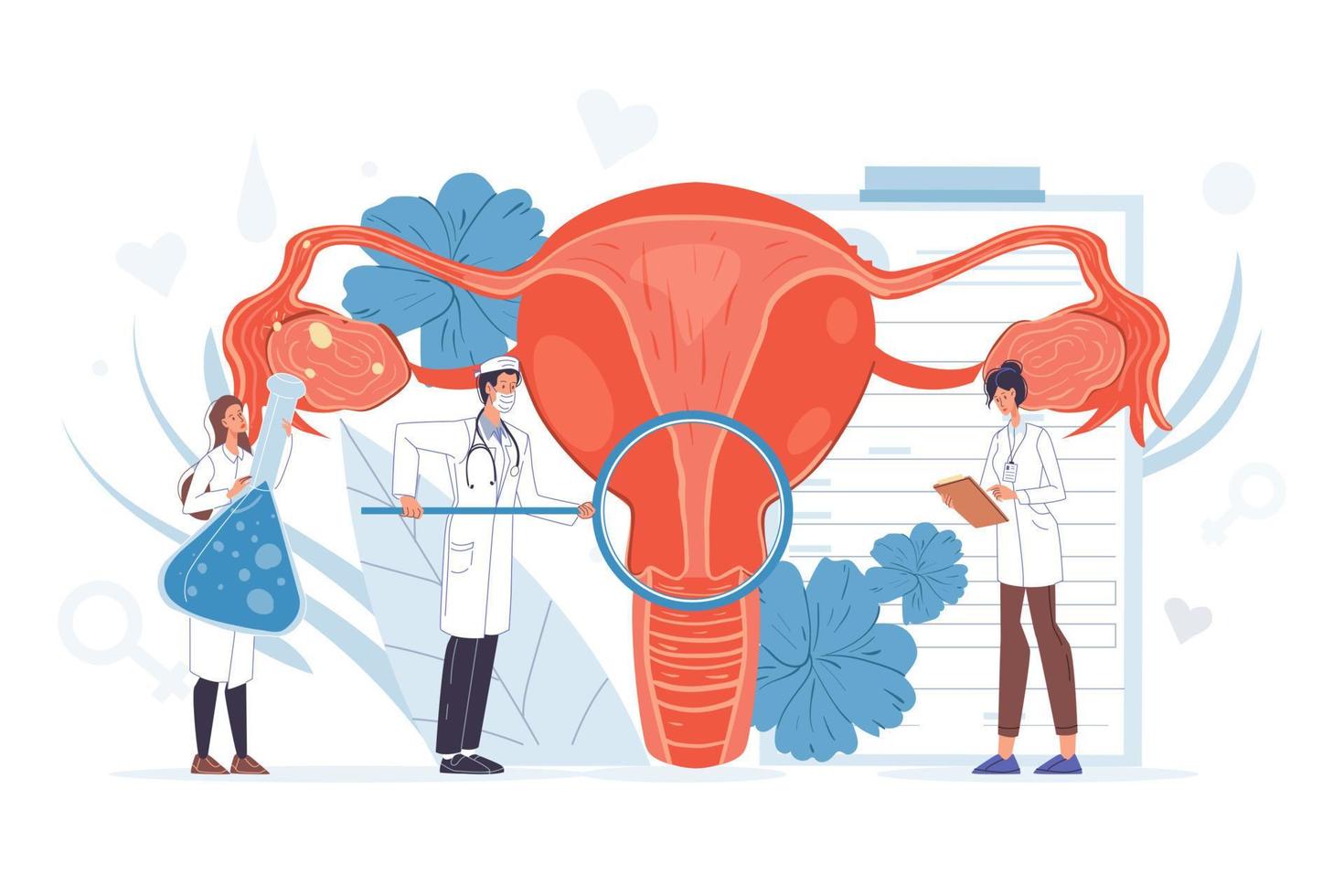 Gynecologist doctor team make uterus examination vector