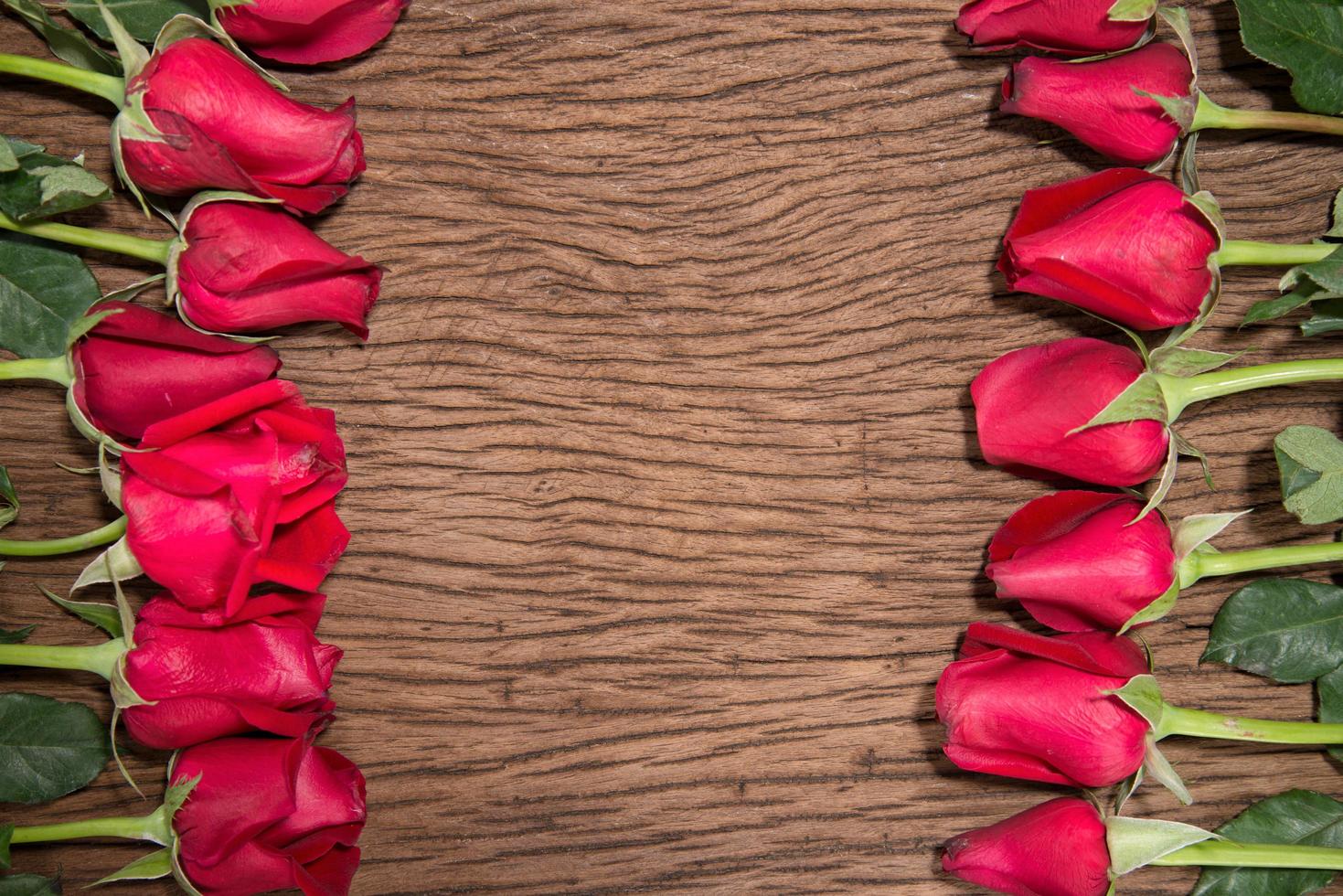 Red rose on wooden background photo