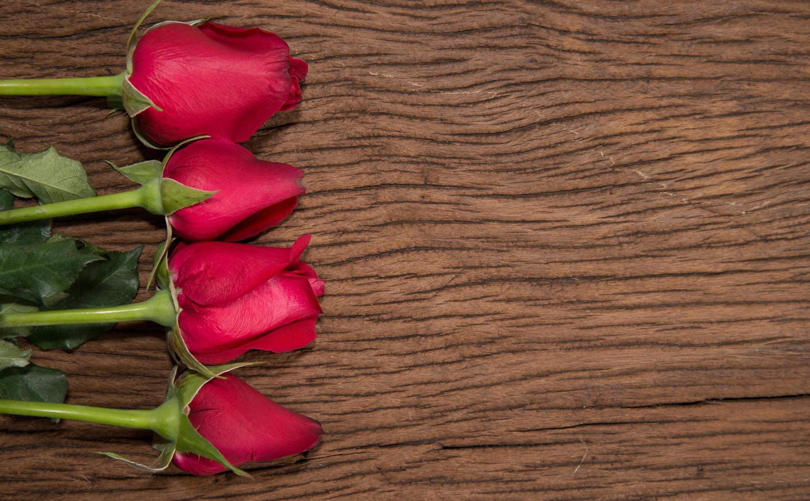 Red rose on wooden background photo