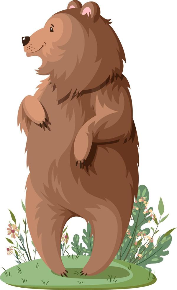 The bear is standing in a clearing. Vector illustration.