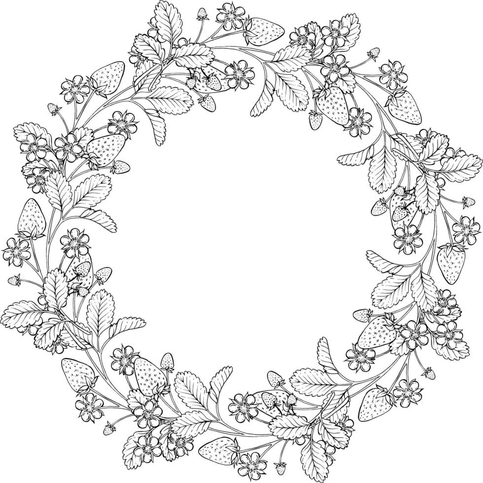 A wreath of strawberries, flowers. vector