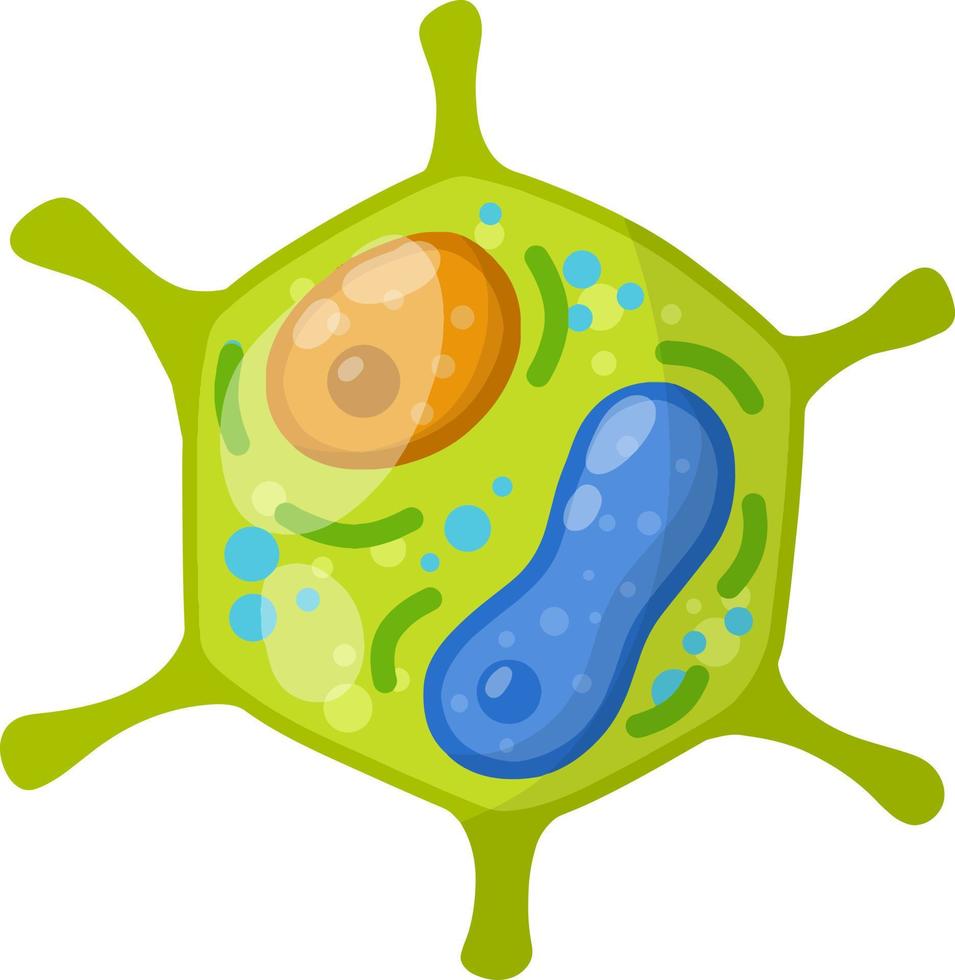 Green cell of the plant. Element of biology. vector