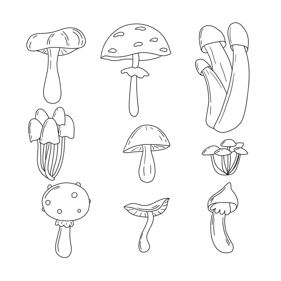 Mushroom doodle vector set. Autumn mood isolated line art collection, print, banner, poster, greeting card design element.