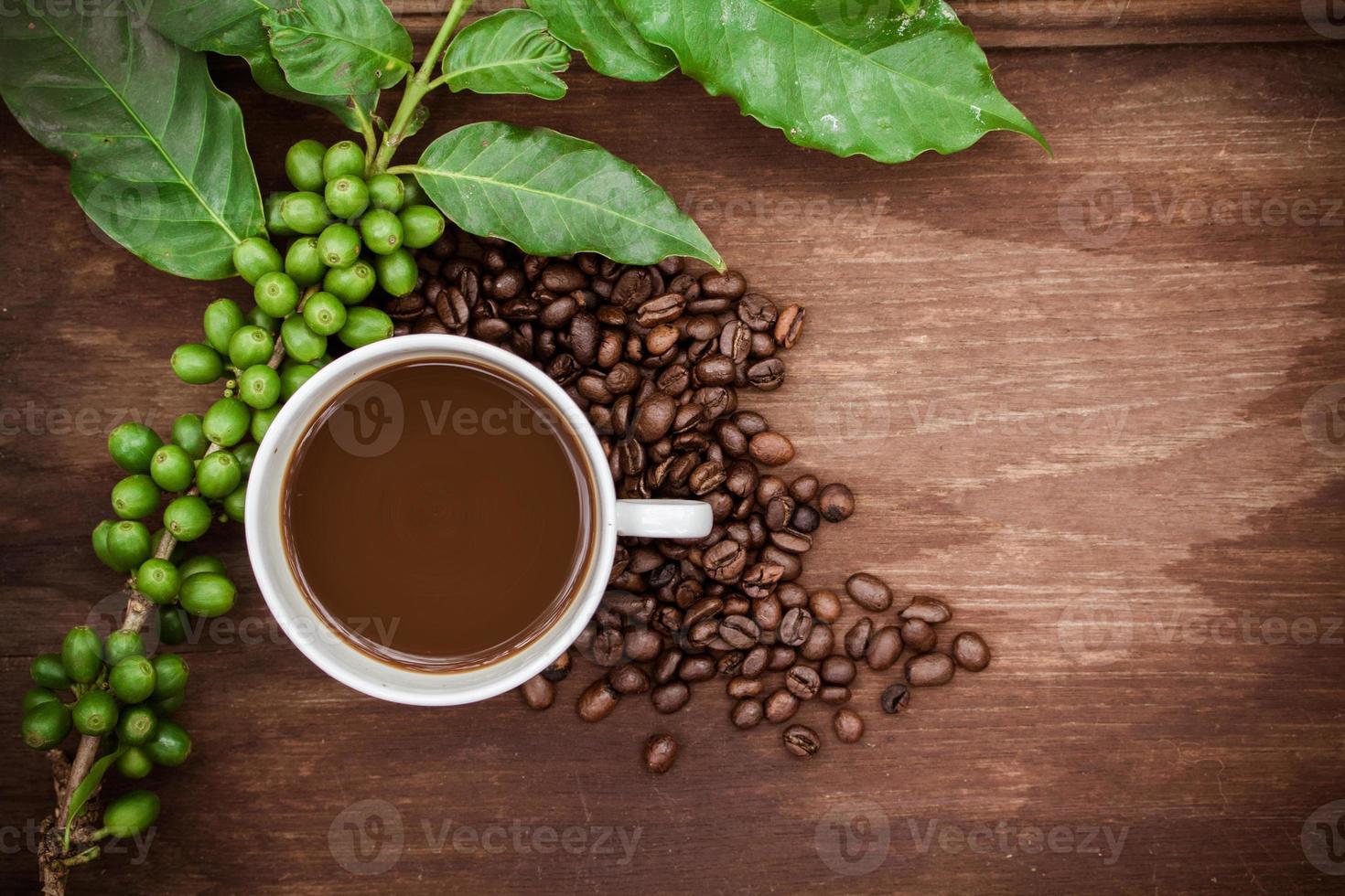 Cup coffee and beans on wood background photo