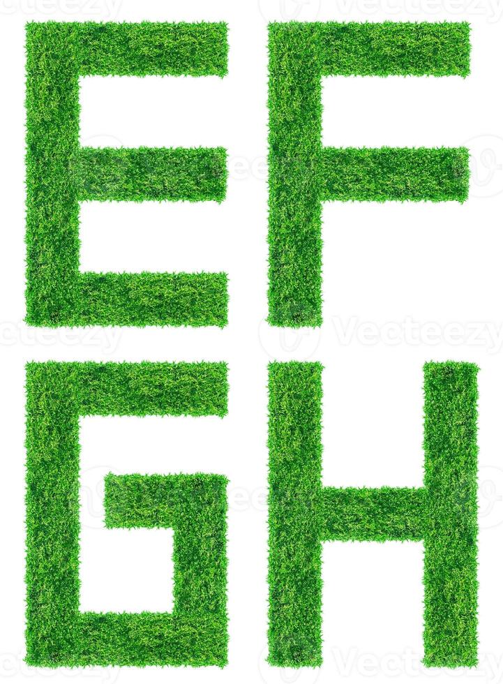 Alphabet from the green grass,  isolated on white background photo