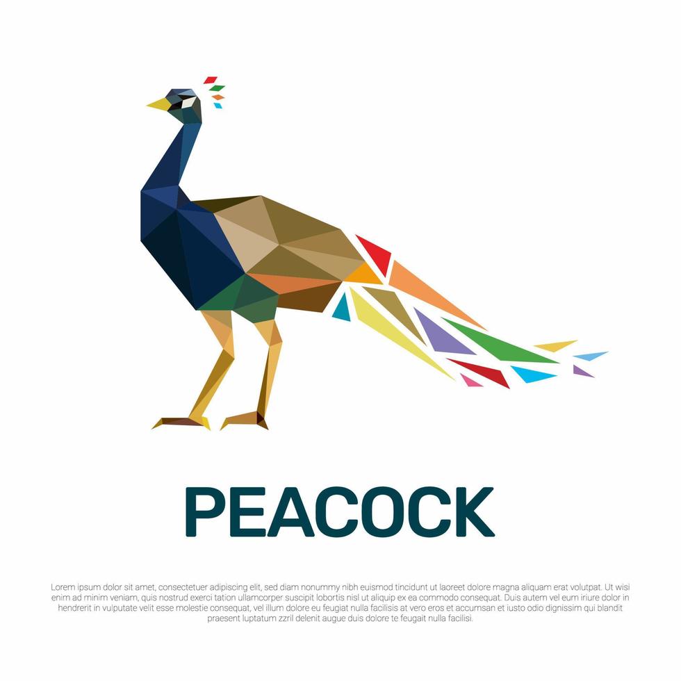 Peacock low poly polygonal geometric vector