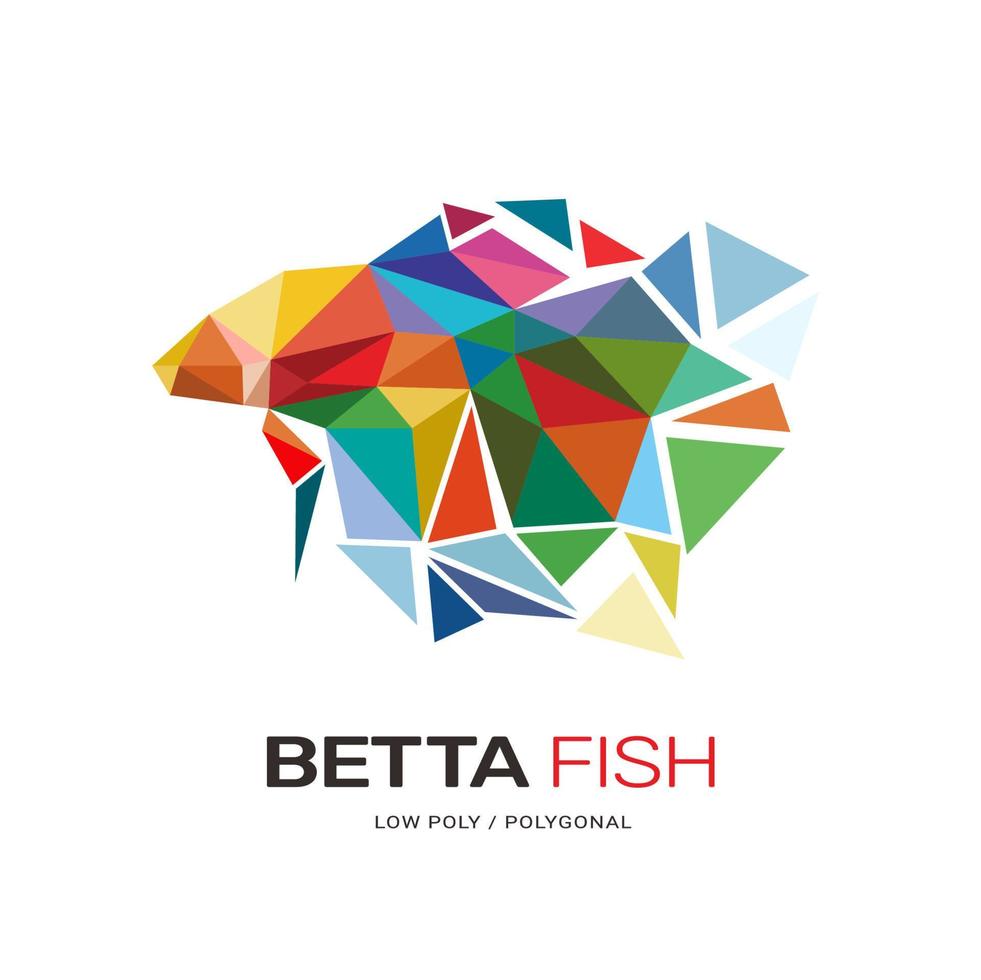 Betta hobby fish low poly polygonal template design vector