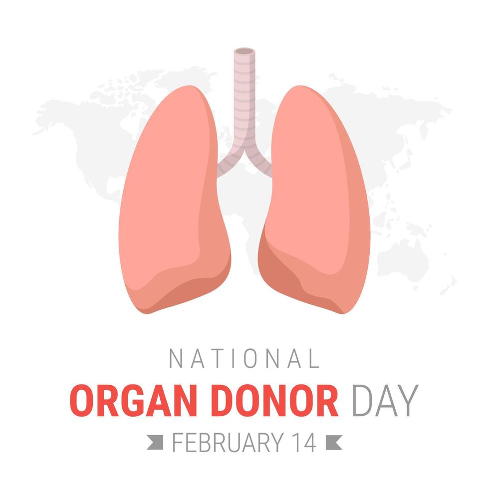 dia nacional del donante de organos con pulmones vector