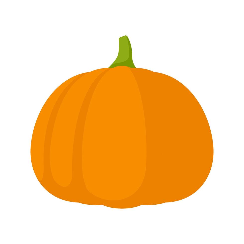 calabaza aislada sobre fondo blanco vector