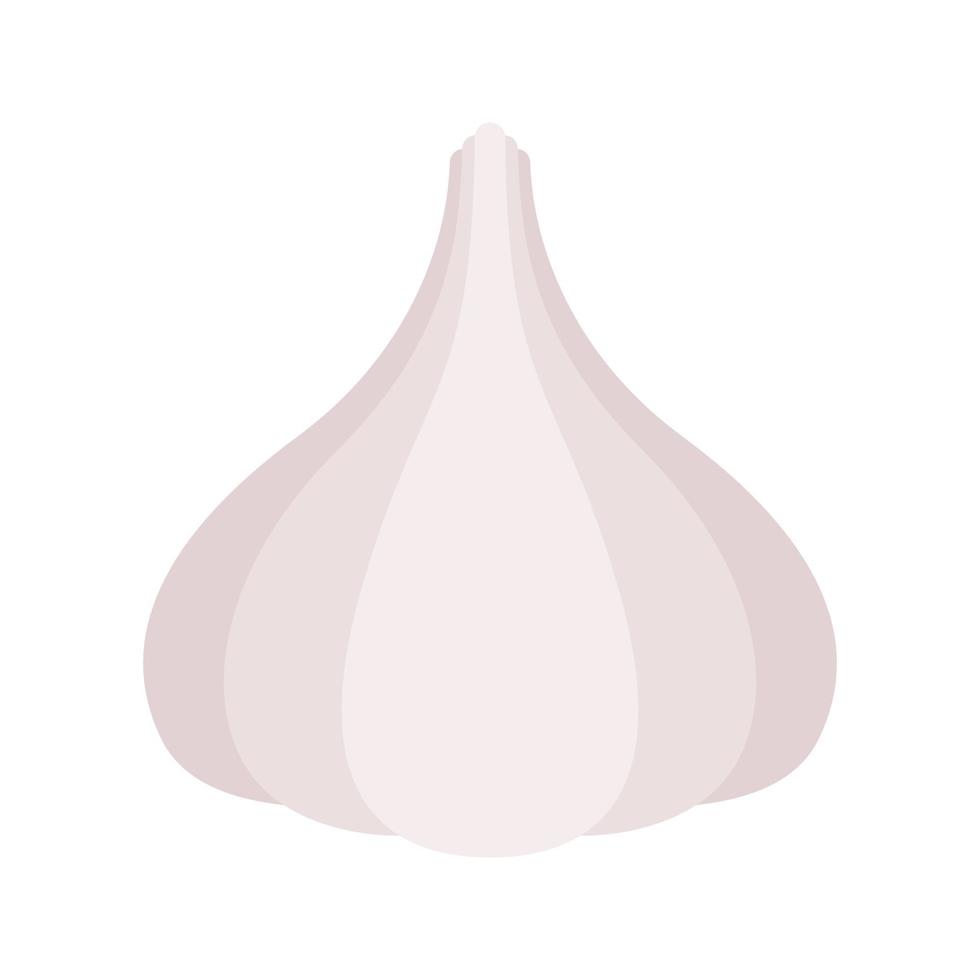 Garlic isolated on white background vector