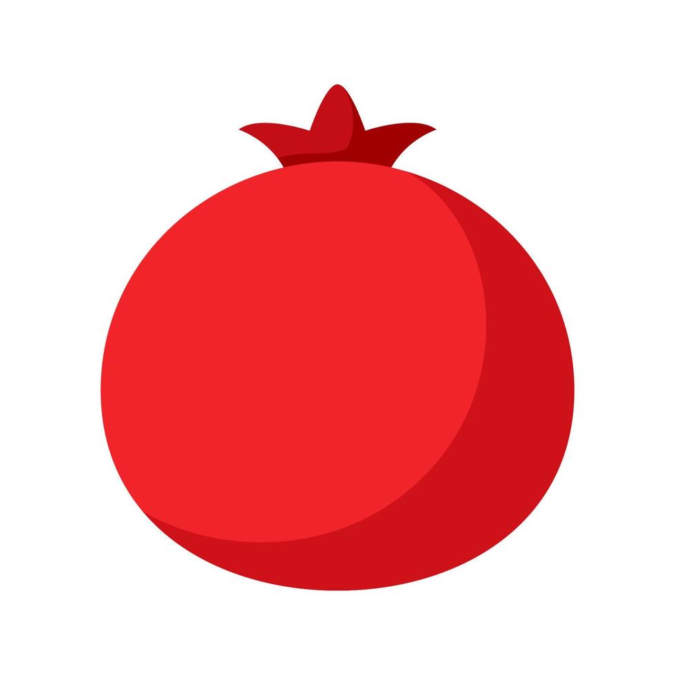 Pomegranate isolated on white background vector