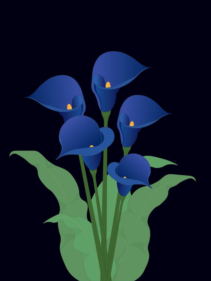 ramo de lirio de calla de color azul saturado sobre ilustración de vector de fondo negro