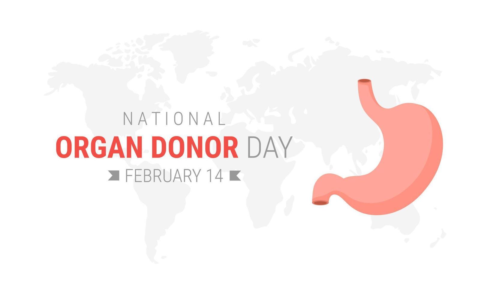 National organ donor day with Stomach vector