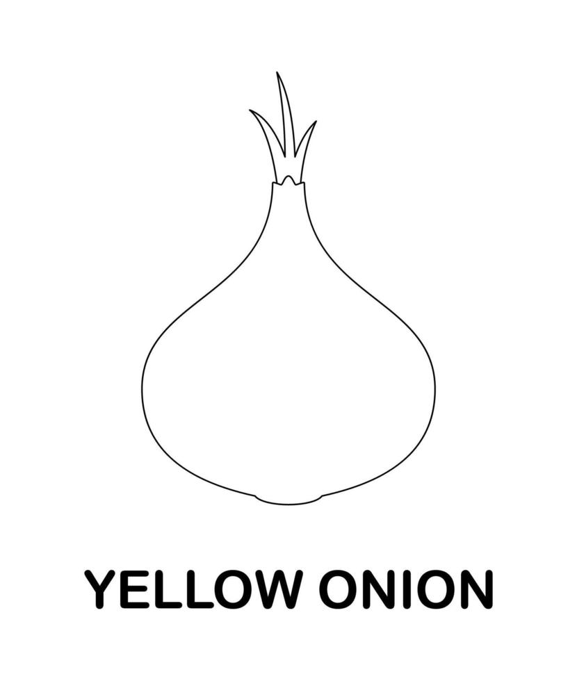 Coloring page with Yellow Onion for kids vector