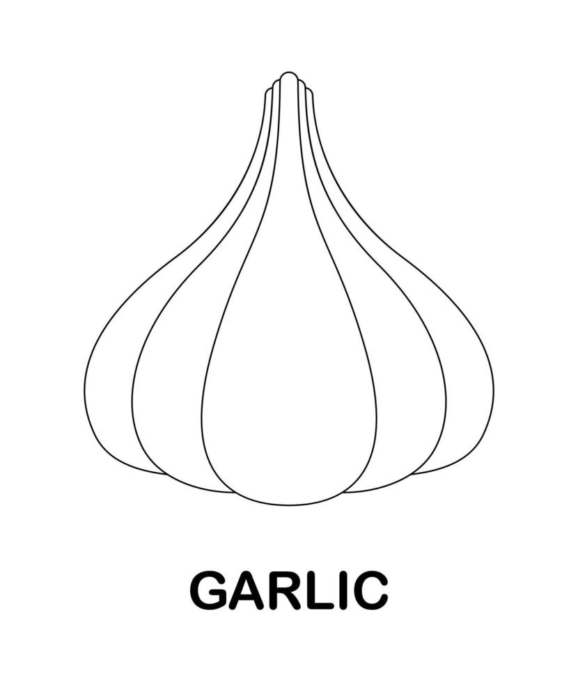 Coloring page with Garlic for kids vector