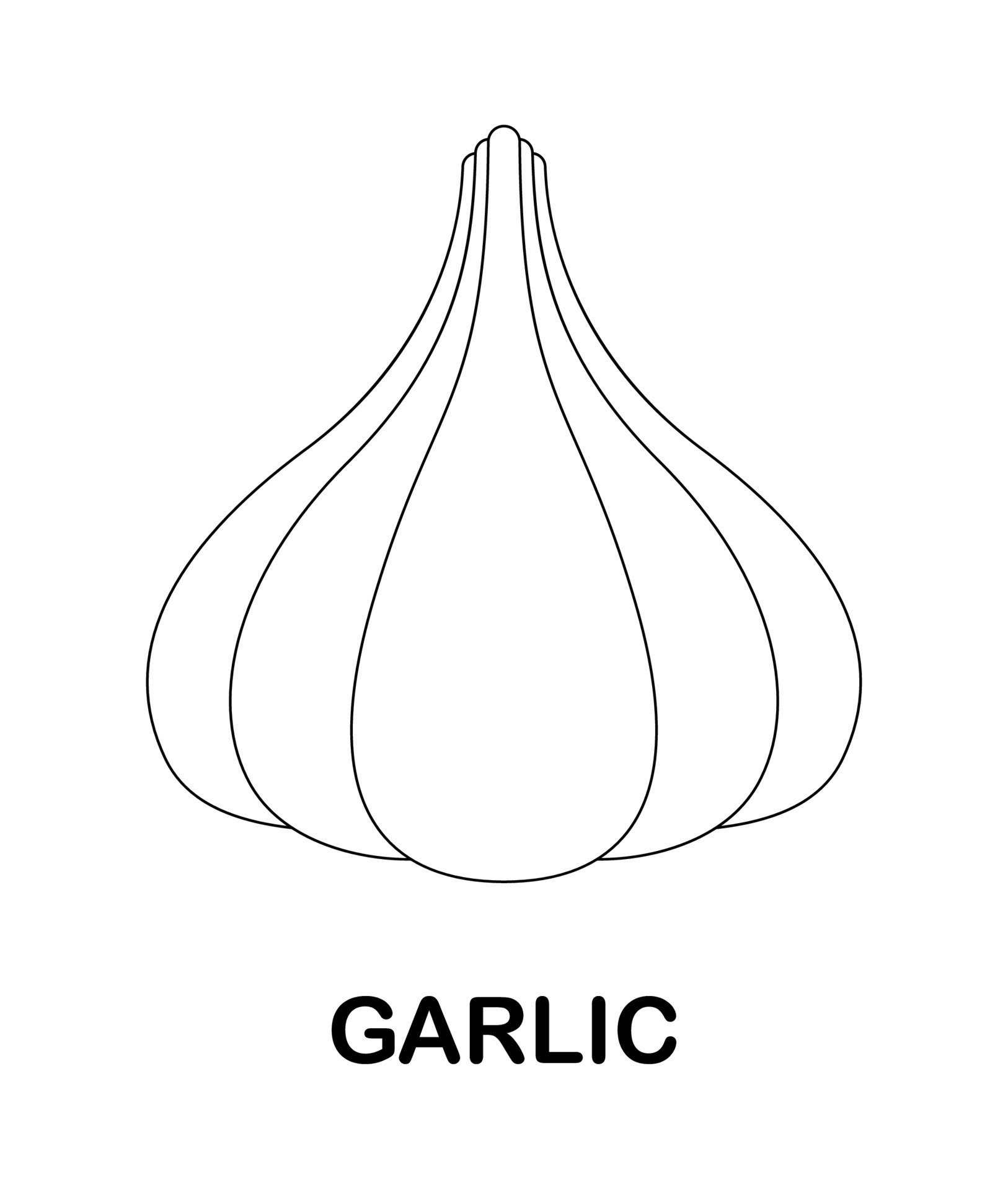 Garlic Coloring Page