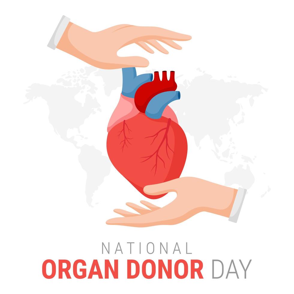 día nacional del donante de órganos con corazón humano vector