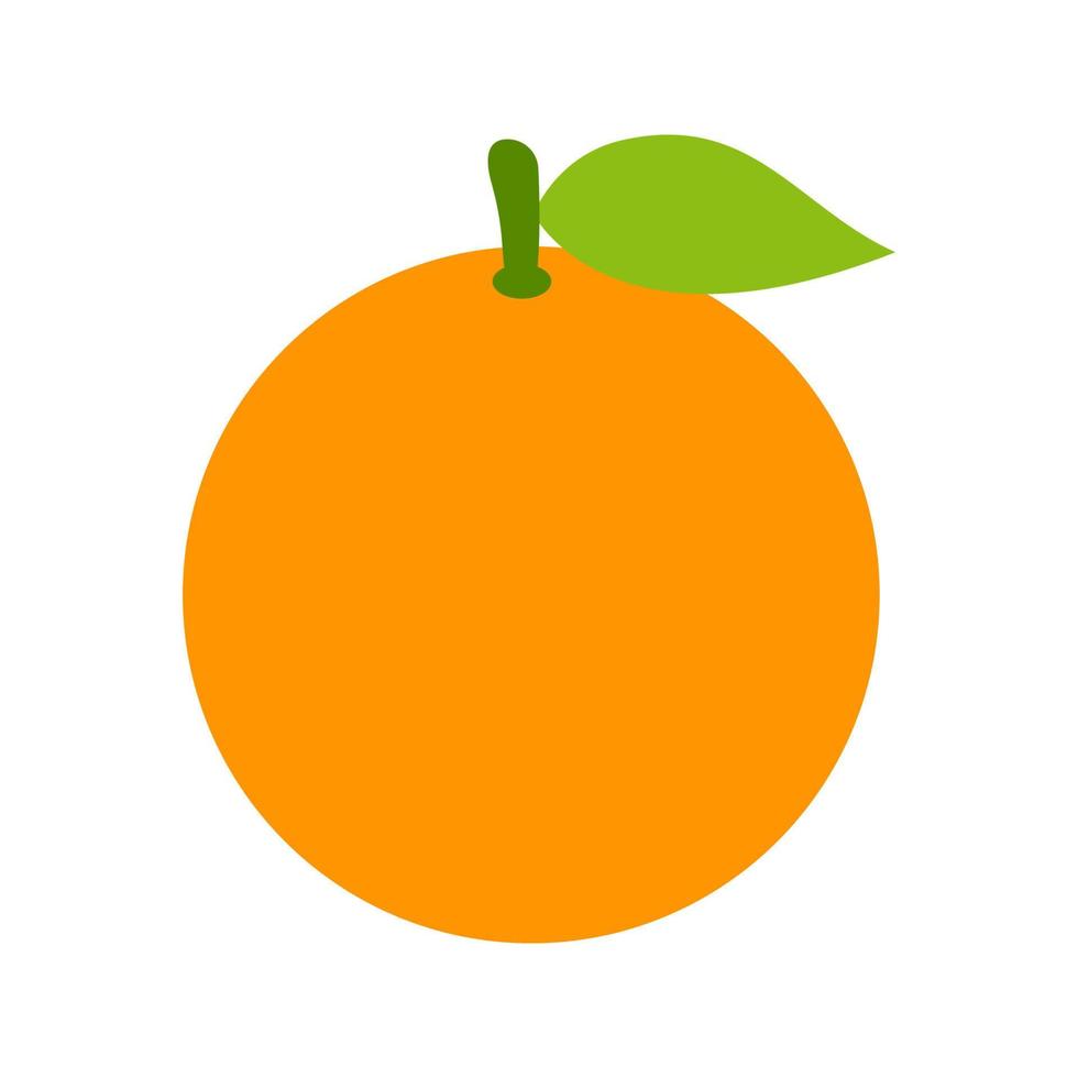 Orange isolated on white background vector