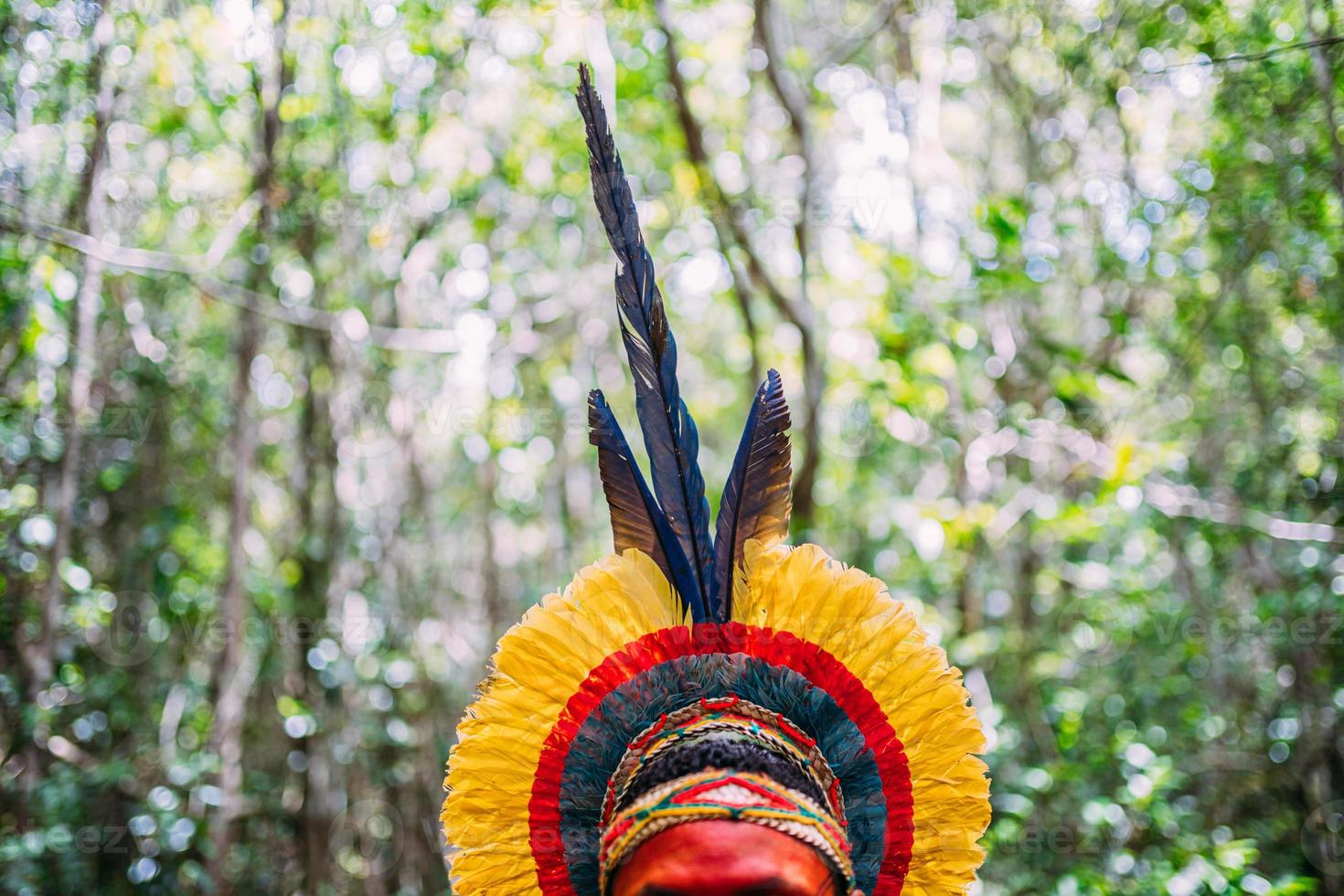 traditional feather headdress of the Pataxo tribe. headdress focus photo