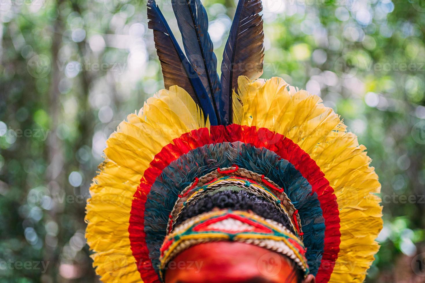 traditional feather headdress of the Pataxo tribe. headdress focus photo