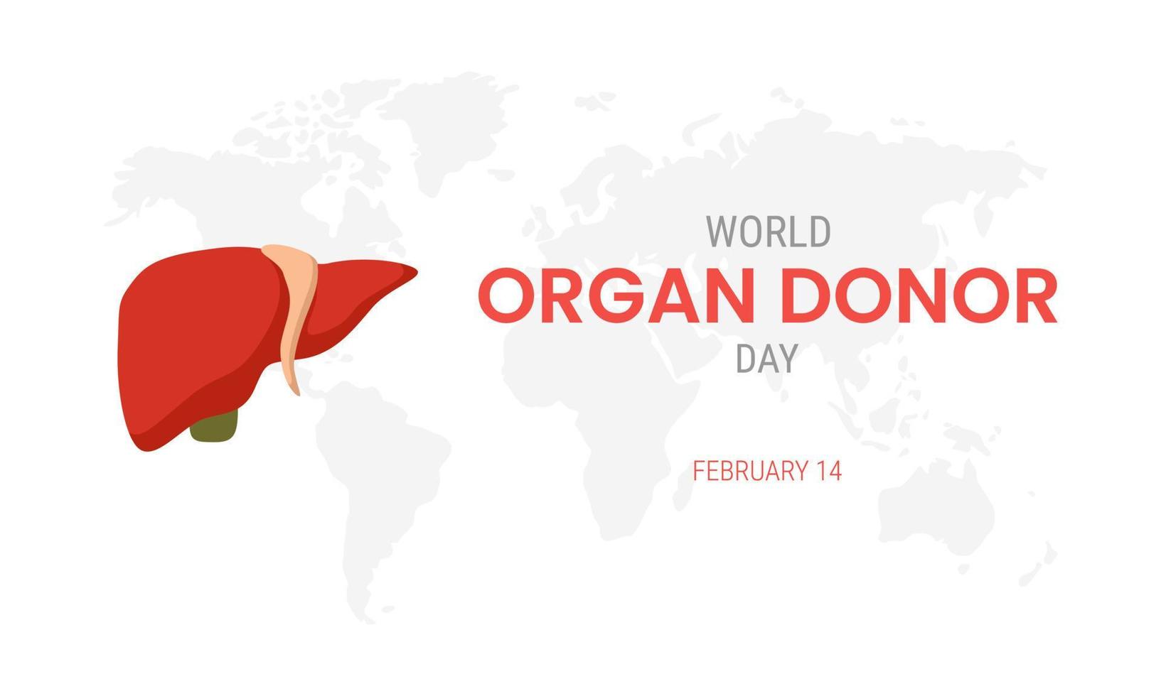 día nacional del donante de órganos con hígado vector