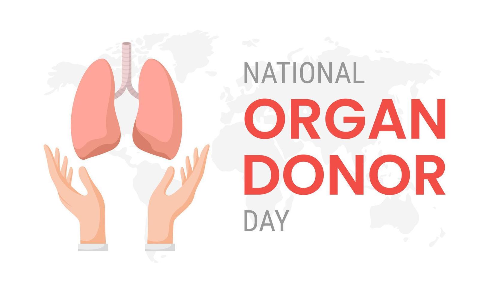 dia nacional del donante de organos con pulmones vector