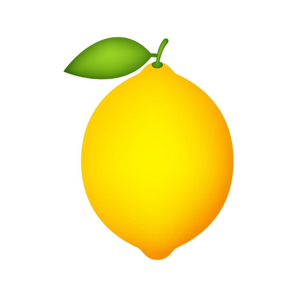 Lemon isolated on white background vector