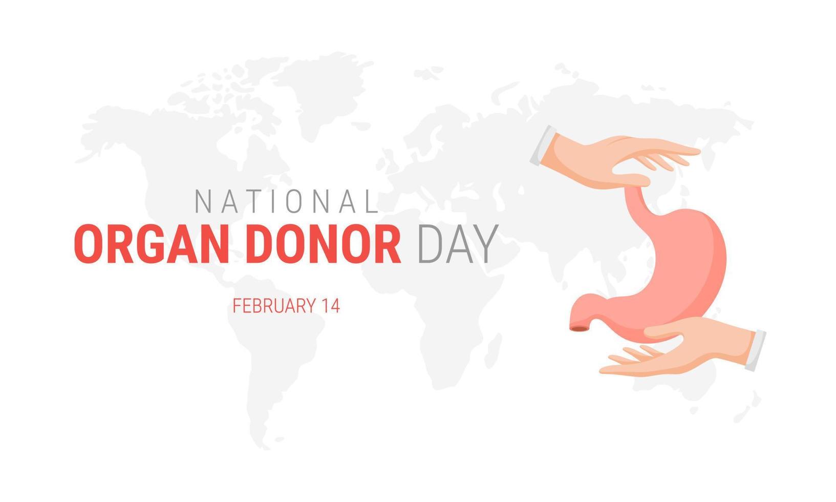 dia nacional del donante de organos con estomago vector