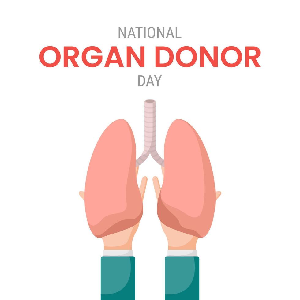 dia nacional del donante de organos con pulmones vector