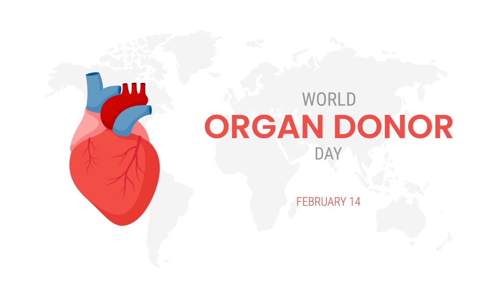 día nacional del donante de órganos con corazón humano vector