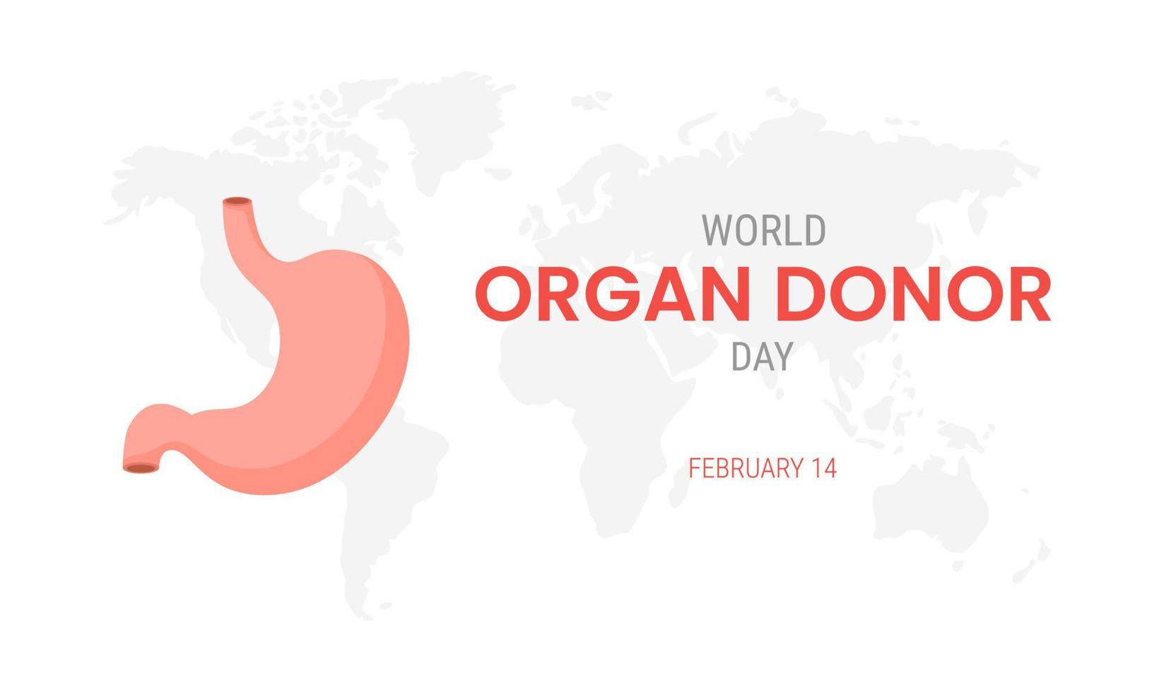 National organ donor day with Stomach vector