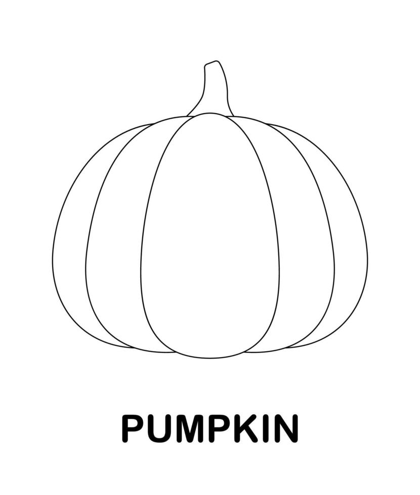 Coloring page with Pumpkin for kids vector
