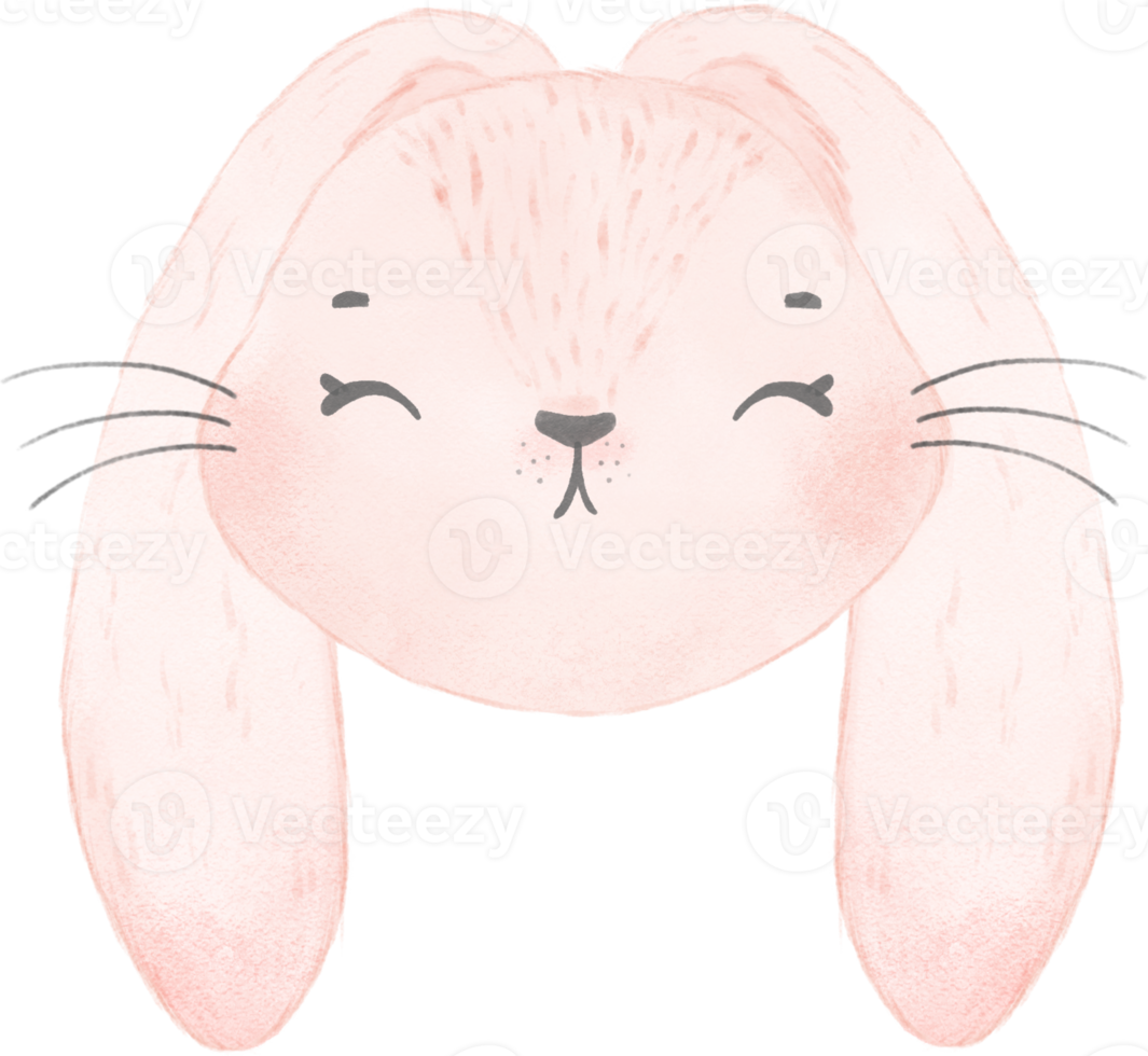 lindo coelho aquarela coelho rosto cabeça animal de desenho animado png