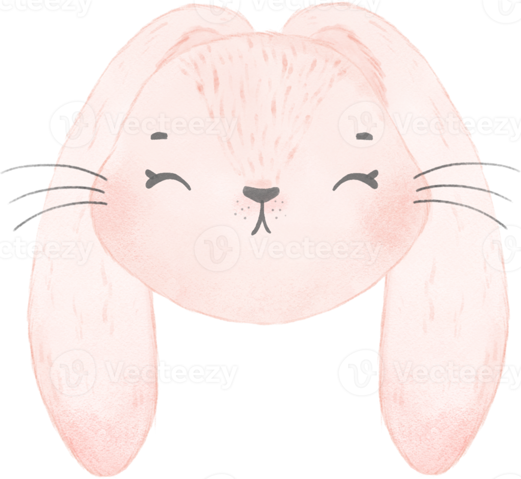 cute watercolor rabbit bunny face head cartoon animal png