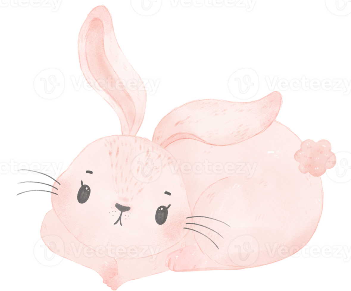 cute watercolor pink baby rabbit bunny cartoon animal hand painting png